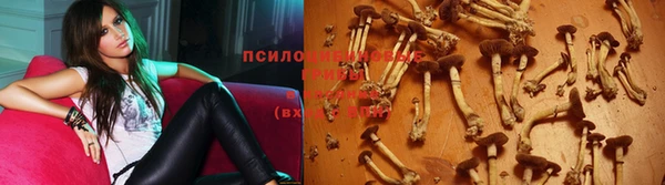 PSILOCYBIN Алексин