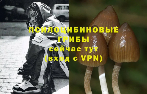 PSILOCYBIN Алексин