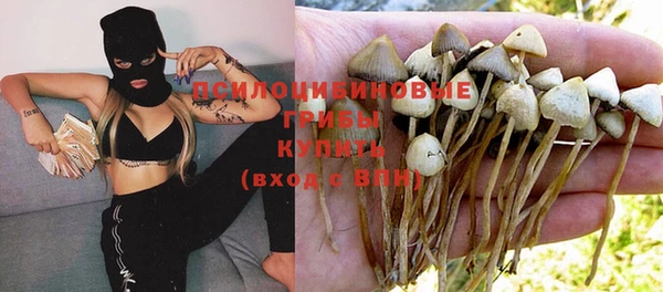героин Алзамай