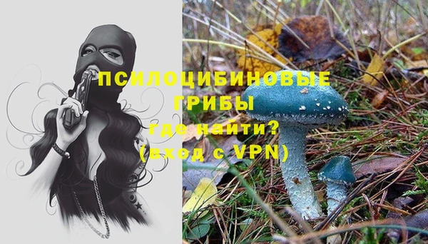 PSILOCYBIN Алексеевка
