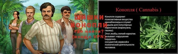 PSILOCYBIN Алексин