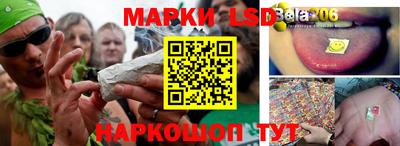 стаф Ливны