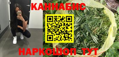 стафф Лесосибирск