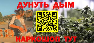 стафф Лесосибирск