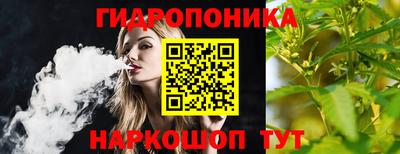 стаф Ливны