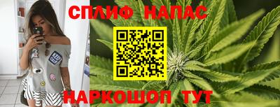 стафф Лесосибирск