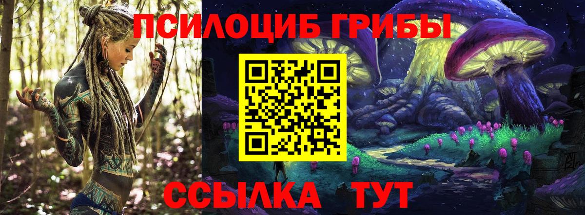 Псилоцибиновые грибы Psilocybine cubensis  Галлюциногенные грибы GOLDEN TEACHER  Дзержинский  Вход с VPN 